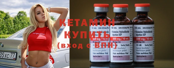 прущие грибы Медногорск