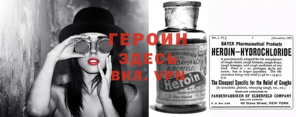прущие грибы Медногорск