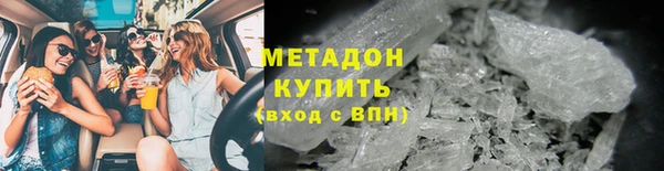 прущие грибы Медногорск