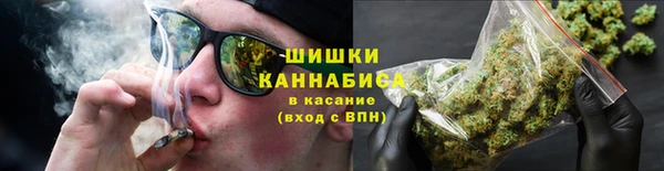 прущие грибы Медногорск