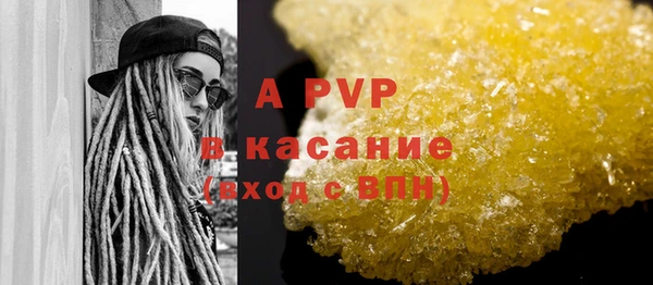 прущие грибы Медногорск
