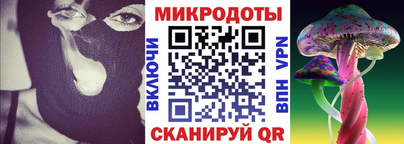 Купить Коряжма Галлюциногенные грибы мицелий